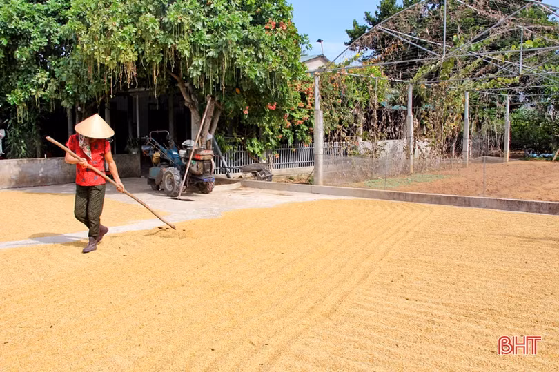 Xứ Voi đón “niềm vui kép”!