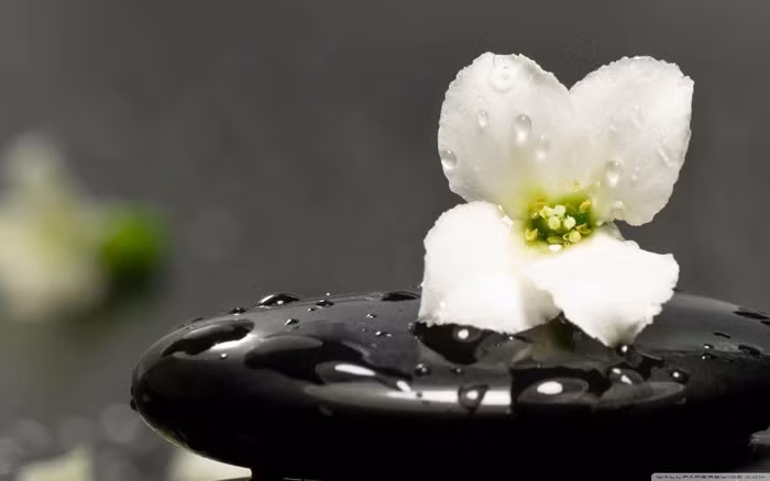 Người có lòng bao dung thì đúng hay sai đâu còn quan trọng