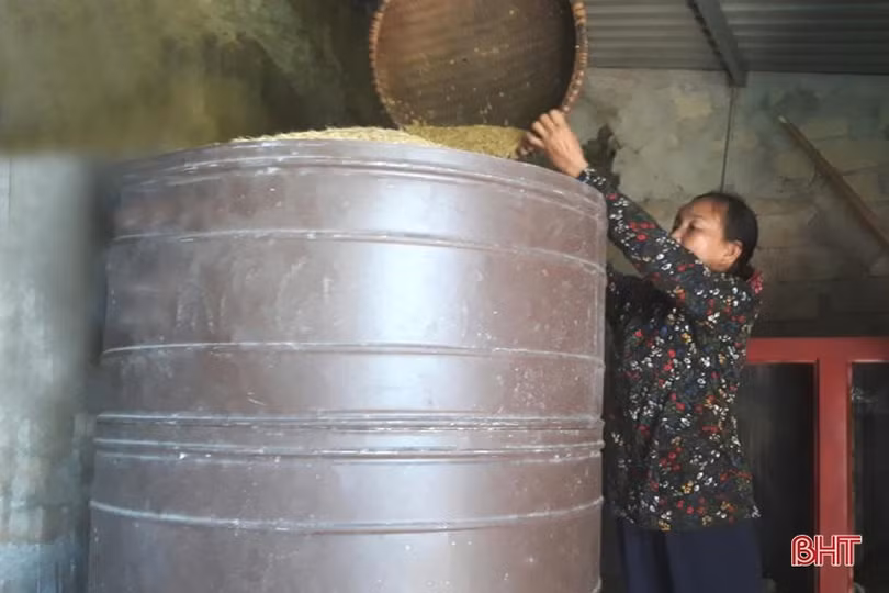 Gieo đúng lịch, cơ giới hóa trong sản xuất, huyện Kỳ Anh “về đích” thu hoạch lúa hè thu