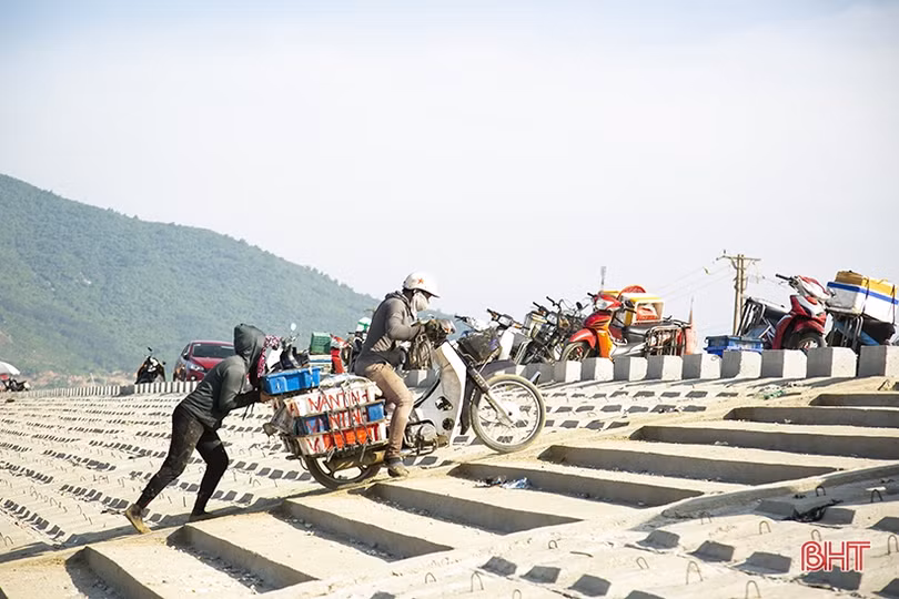 Gặp đúng luồng cá mờm cơm, ngư dân Lộc Hà thu “tiền tươi” tại bãi