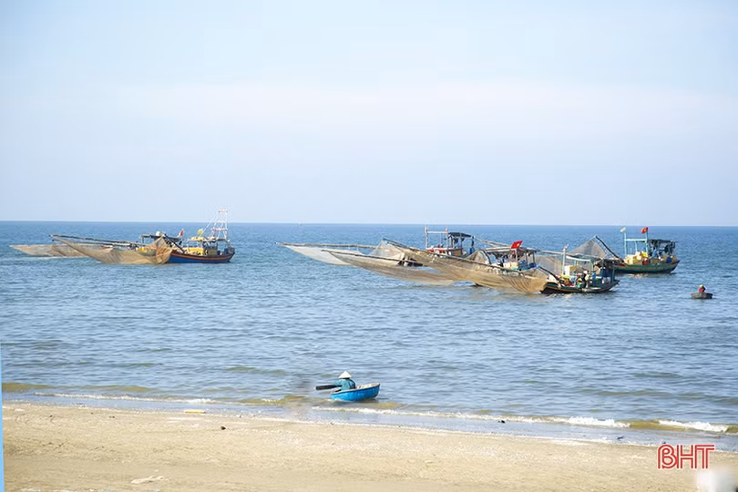 Gặp đúng luồng cá mờm cơm, ngư dân Lộc Hà thu “tiền tươi” tại bãi