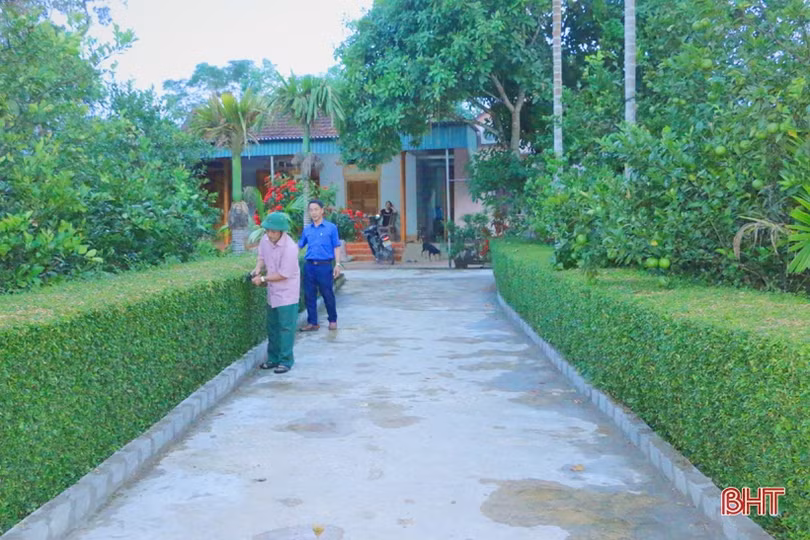 Ngắm những hàng rào xanh mướt, yên ả ở huyện miền núi Hà Tĩnh