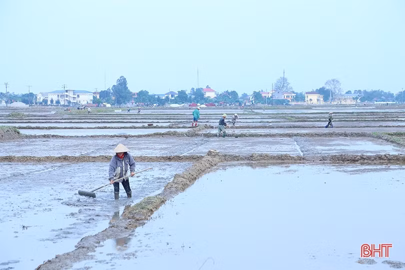 Nông dân Hà Tĩnh bắt đầu vào vụ gieo cấy lúa xuân
