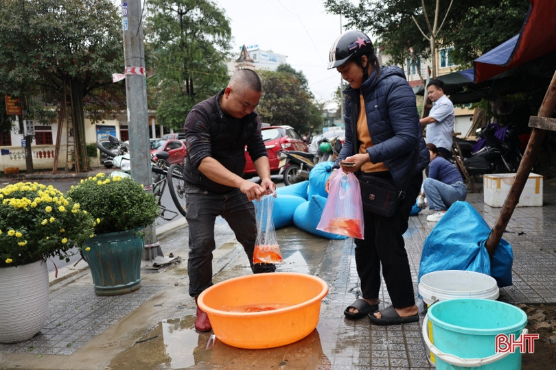 Người Hà Tĩnh tất bật sắm lễ cúng ông Công, ông Táo