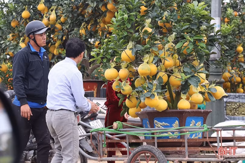 Nghề “chở tết về nhà” thu nhập khá những ngày áp tết ở Hà Tĩnh