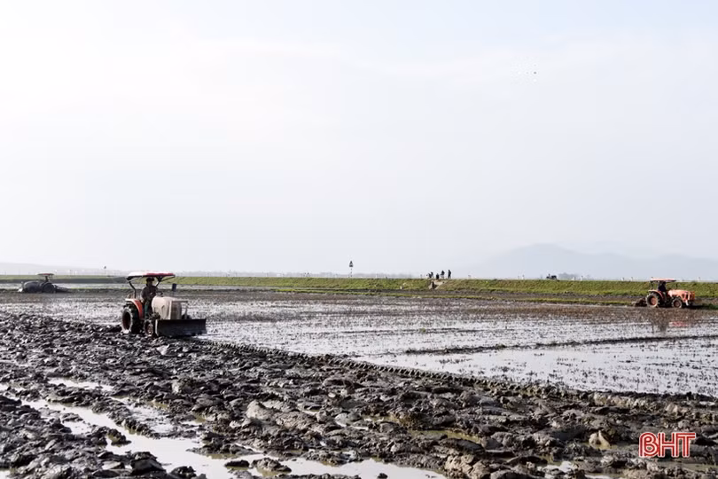 Kỳ Anh phấn đấu đạt chuẩn huyện nông thôn mới vào cuối năm 2023