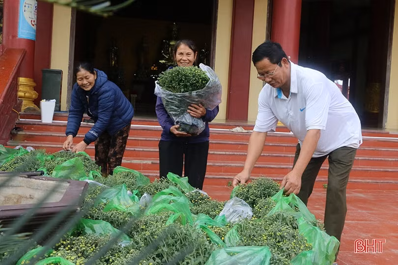 Các chùa ở Hà Tĩnh trang hoàng đón tết Quý Mão 2023