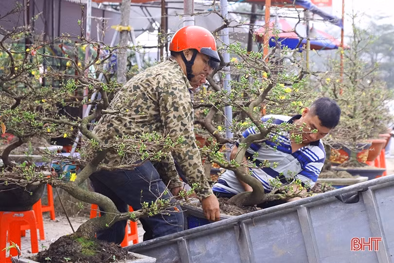Nghề “chở tết về nhà” thu nhập khá những ngày áp tết ở Hà Tĩnh