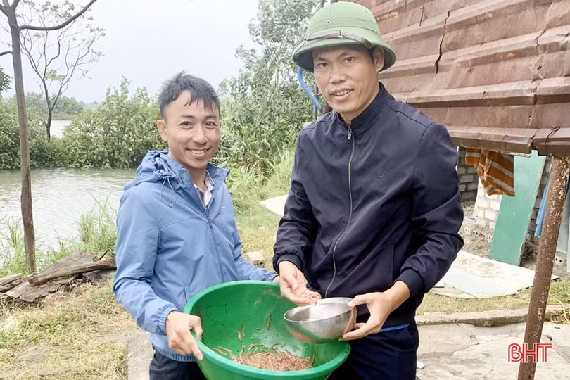 Kỳ Anh phấn đấu đạt chuẩn huyện nông thôn mới vào cuối năm 2023