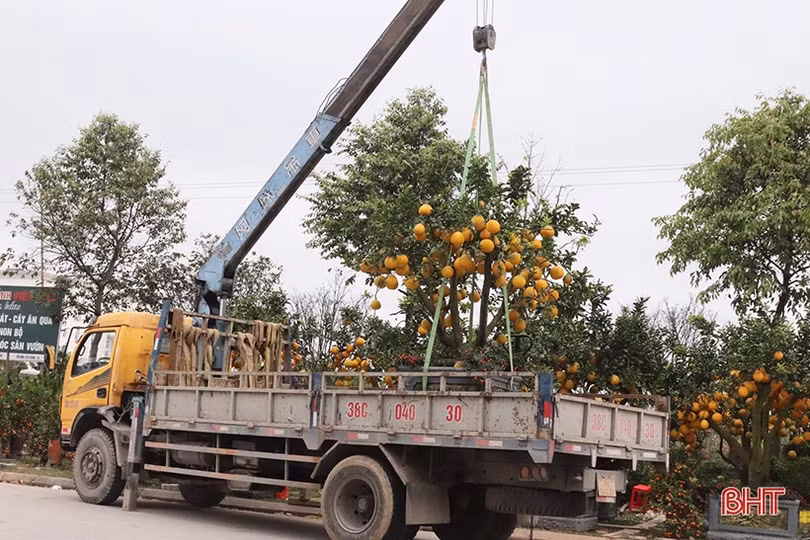 Nghề “chở tết về nhà” thu nhập khá những ngày áp tết ở Hà Tĩnh