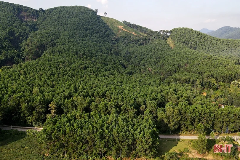 Hà Tĩnh nhân rộng những cánh rừng theo tiêu chuẩn quốc tế FSC 