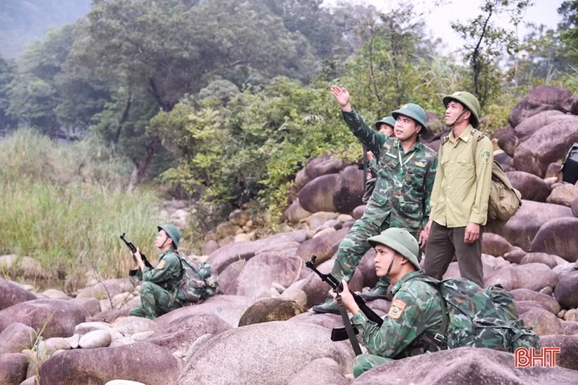 Tăng cường bảo vệ màu xanh cho những cánh rừng ở Hà Tĩnh trong dịp tết