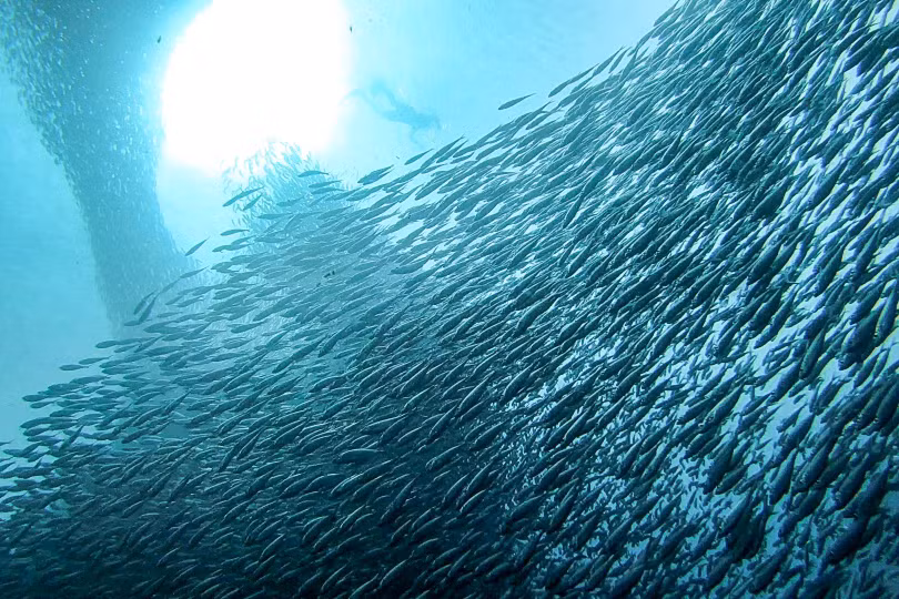 Bảy kỳ quan thế giới không nên bỏ lỡ trong năm 2023