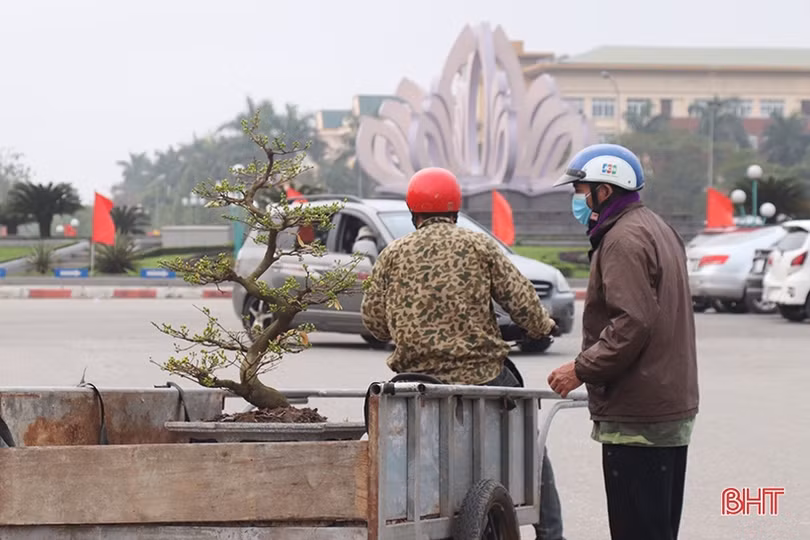 Nghề “chở tết về nhà” thu nhập khá những ngày áp tết ở Hà Tĩnh