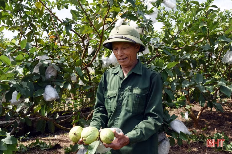 Kỳ Anh phấn đấu đạt chuẩn huyện nông thôn mới vào cuối năm 2023