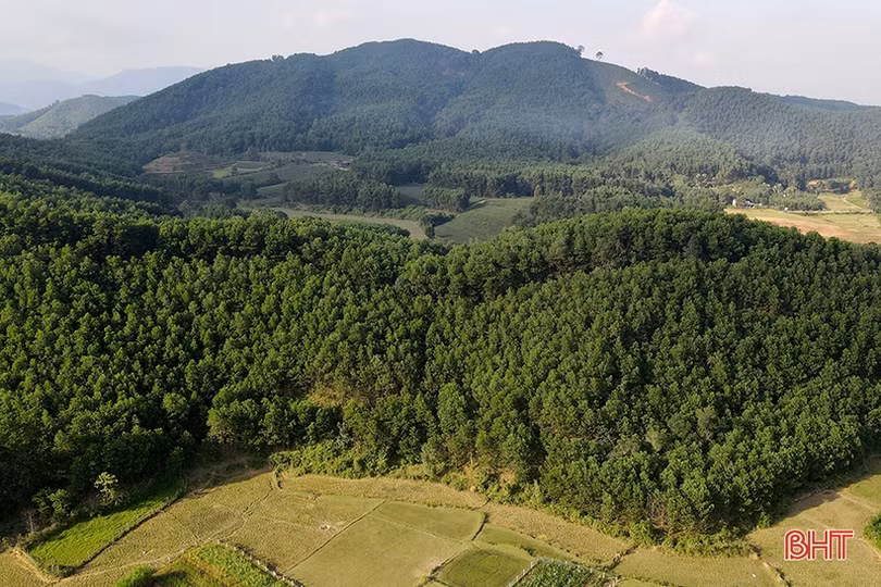 Chia sẻ lợi ích từ chi trả giảm phát thải khí nhà kính