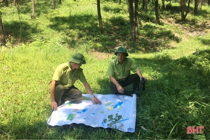 Tăng cường bảo vệ màu xanh cho những cánh rừng ở Hà Tĩnh trong dịp tết