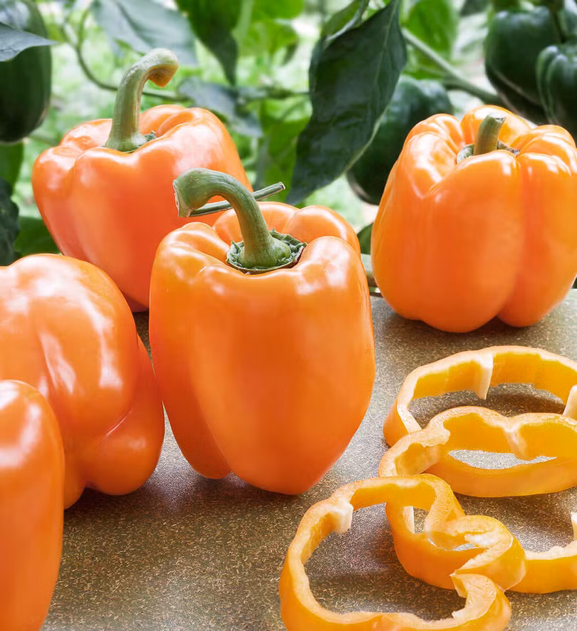 Da đẹp đón tết nhờ bổ sung 7 loại thực phẩm sau đây