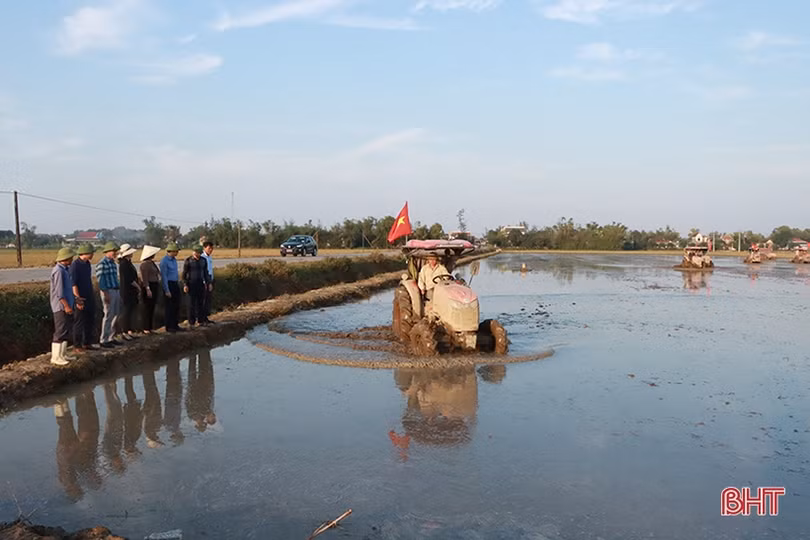 “Chìa khóa” mở nông nghiệp bền vững cho Cẩm Xuyên