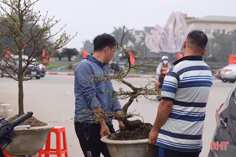 Nghề “chở tết về nhà” thu nhập khá những ngày áp tết ở Hà Tĩnh