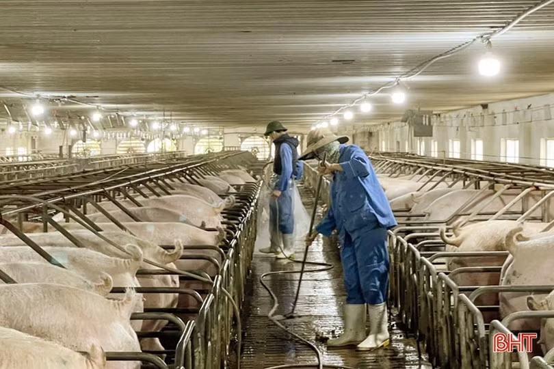 Các địa phương ở Hà Tĩnh sôi nổi hoạt động kỷ niệm 93 năm ngày thành lập Đảng