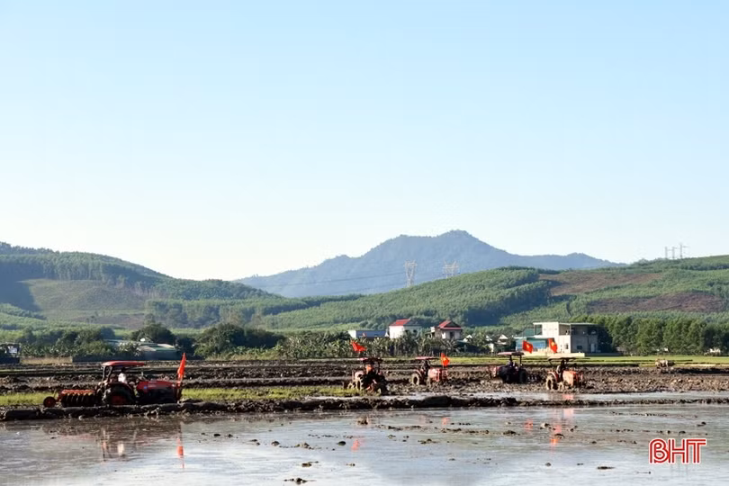 Cánh đồng lớn, sản xuất lớn ở Hà Tĩnh