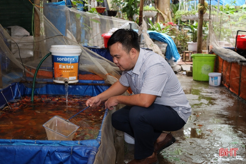 Người Hà Tĩnh tất bật sắm lễ cúng ông Công, ông Táo