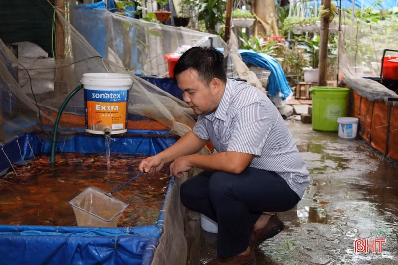 Người Hà Tĩnh tất bật sắm lễ cúng ông Công, ông Táo