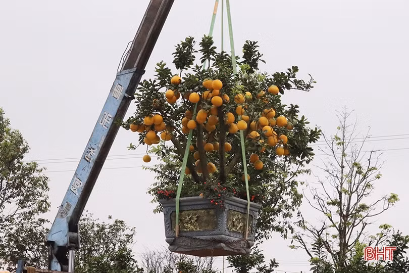 Nghề “chở tết về nhà” thu nhập khá những ngày áp tết ở Hà Tĩnh