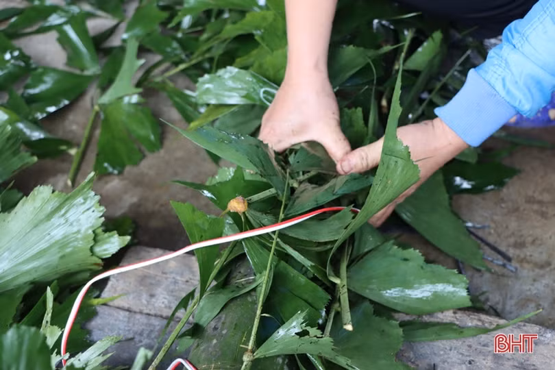 Cần tránh tai nạn không đáng có khi dựng nêu tết ở Hà Tĩnh