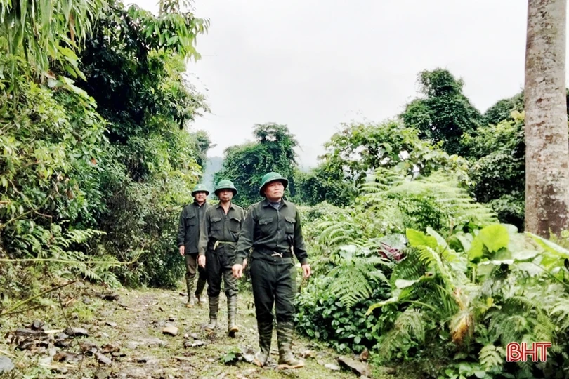 Tăng cường bảo vệ màu xanh cho những cánh rừng ở Hà Tĩnh trong dịp tết