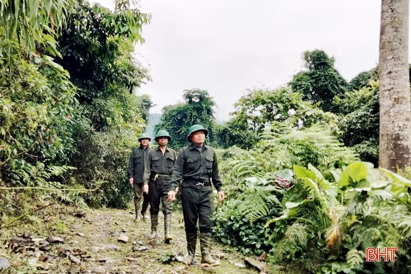 Tăng cường bảo vệ màu xanh cho những cánh rừng ở Hà Tĩnh trong dịp tết