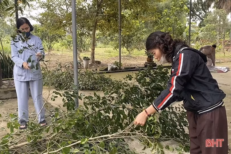 Các chùa ở Hà Tĩnh trang hoàng đón tết Quý Mão 2023