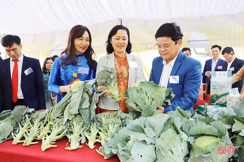 Xây dựng nông dân Thạch Liên có năng lực, kinh nghiệm, mạnh dạn đầu tư sản xuất