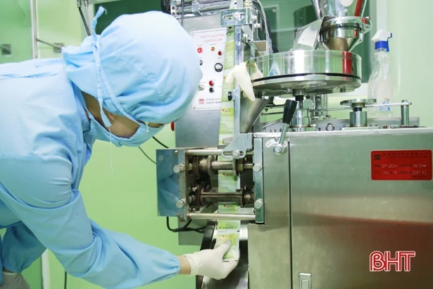 Năm 2019 và những kỳ vọng mới!