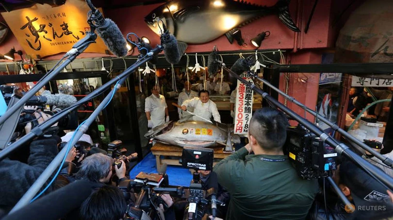 Cận cảnh con cá ngừ có giá kỷ lục hơn 250 triệu đồng/kg