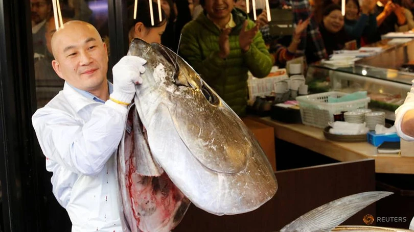 Cận cảnh con cá ngừ có giá kỷ lục hơn 250 triệu đồng/kg