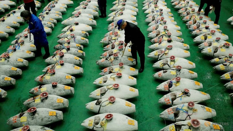 Cận cảnh con cá ngừ có giá kỷ lục hơn 250 triệu đồng/kg