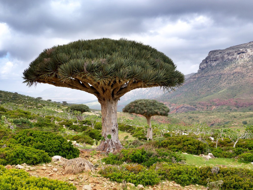 13 vùng đất tuyệt đẹp giúp du khách “cai nghiện” công nghệ