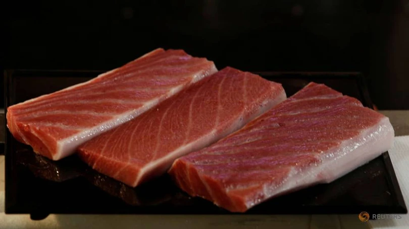 Cận cảnh con cá ngừ có giá kỷ lục hơn 250 triệu đồng/kg