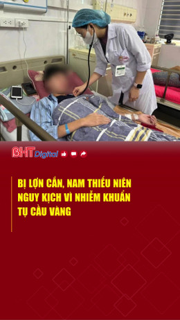 Bị lợn cắn, nam thiếu niên nguy kịch vì nhiễm khuẩn tụ cầu vàng
