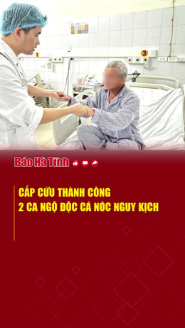 Cấp cứu thành công 2 ca ngộ độc cá nóc nguy kịch 