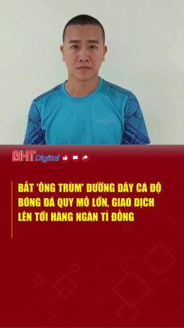 Bắt 'ông trùm' đường dây cá độ bóng đá quy mô lớn, giao dịch lên tới hàng ngàn tỉ đồng 