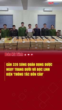 319 súng quân dụng được ngụy trang dưới vỏ bọc linh kiện 'thông tắc bồn cầu'