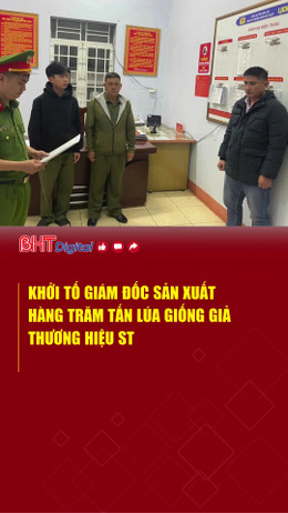 Khởi tố giám đốc sản xuất hàng trăm tấn lúa giống giả thương hiệu ST