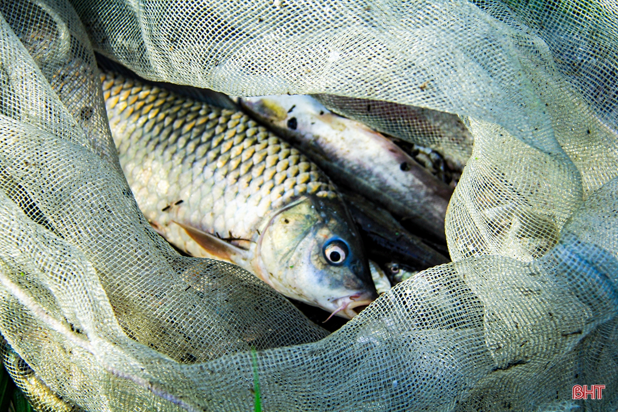 Lễ hội đánh cá “độc nhất vô nhị” ở Hà Tĩnh