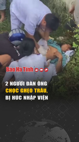 Hiện trường 2 người đàn ông chọc ghẹo trâu, bị húc nhập viện