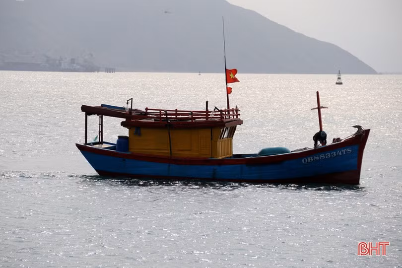 Mực nhảy Vũng Áng hút khách từ đầu hè