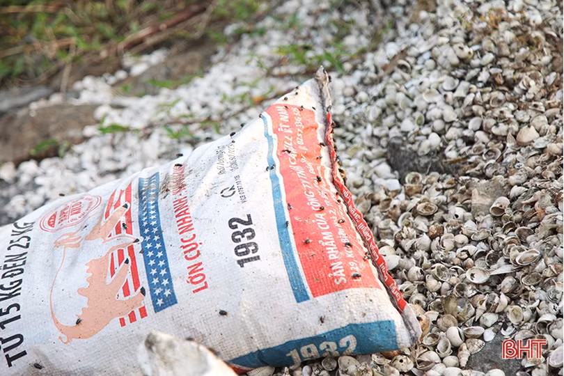 Rác tràn ngập sát cầu nối 2 huyện ở Hà Tĩnh