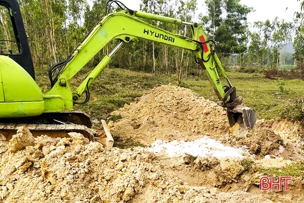 Diễn biến nhanh, Đức Thọ có 14/16 xã “dính” dịch viêm da nổi cục trên trâu bò